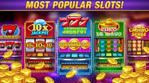 Dashboard MSC xyz 388 dengan menu sportsbook dan live-dealer
